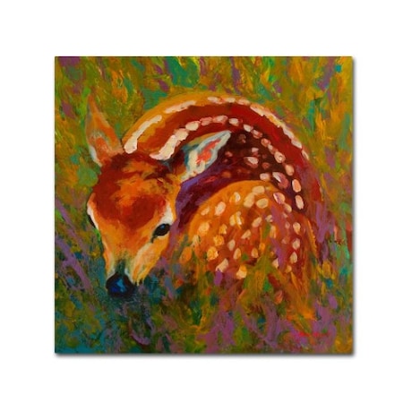 Marion Rose 'New Fawn' Canvas Art,35x35